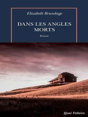 cover image of Dans les angles morts